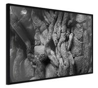 Poster et affiche - Strong Roots - 45x30 Artgeist (33426) NOIR