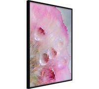 Poster et affiche - Tears of Happiness - 40x60 Artgeist (34308) NOIR