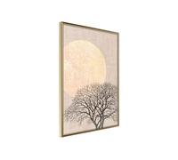 Poster et affiche - Tree in the Morning - 40x60 Artgeist (35354)