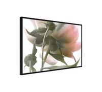 Poster et affiche - Under the Flower - 30x20 (35922)