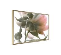 Poster et affiche - Under the Flower - 45x30 Artgeist (35930)