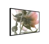 Poster et affiche - Under the Flower - 45x30 Artgeist (35928)