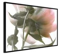 Poster et affiche - Under the Flower - 60x40 Artgeist (35934) NOIR