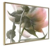 Poster et affiche - Under the Flower - 90x60 (35942)