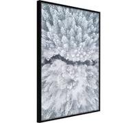 Poster et affiche - Winter Forest From a Bird's Eye View - 40x60 (37110)