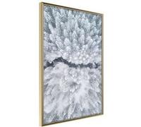 Poster et affiche - Winter Forest From a Bird's Eye View - 40x60 (37112)