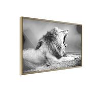 Poster et affiche - Yawning Lion - 45x30 (37496)