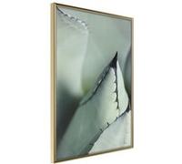 Poster et affiche - Young Leaf of Agave - 40x60 Artgeist (37580)