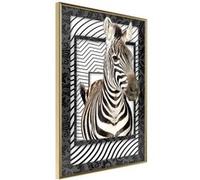 Poster et affiche - Zebra in the Frame - 40x60 Artgeist (37616)