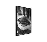 Poster et affiche - Zebra Is Watching You - 40x60 Artgeist (37632) NOIR