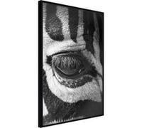 Poster et affiche - Zebra Is Watching You - 40x60 Artgeist (37632) NOIR