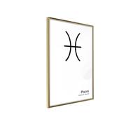 Poster et affiche - Zodiac: Pisces II - 40x60 (37958)