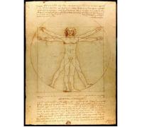 Poster - FABULOUS BIJOUX - L'homme de Léonard de Vinci - 31cm x 42cm - Décoration murale - Intérieur