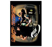 Poster Flag Limp Bizkit Crate by armardi
