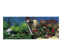 Poster fond d'aquarium Aqua Della Stone & Coral Multicolore 43x4x4 cm