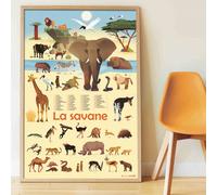 Jeu pour découvrir la nature Popik Poster Savane Stickers G