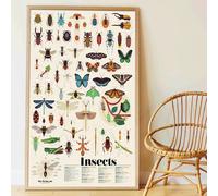 poppik Poster EDUCATIF Insectes - Puzzle Enfant Créatif Décoratif à Gommettes Autocollantes Repositionnables - Cadeau Coloriage Enfant Géant, Jeu Enfant 45 Stickers - 6 à 12 Ans