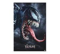 Poster - Groupe Erik - Venom - 61 x 91,5 cm - Papier brillant - Décoration murale - Noir