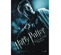 poster HARRY POTTER + 1 Powerstrips©, tesa adh‚sifs double face-20pcs G
