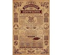 Poster Harry Potter 91,5 cm x 61 cm G