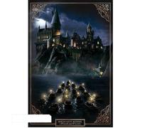 ABYSTYLE Poster Harry Potter (Château de Poudlard)