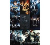 Poster Harry Potter : Collector's Edition 2011-2011 91,5 cm x 61 cm G