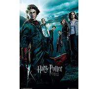 Poster Harry Potter et la Coupe de feu (61cm x 91,5cm)