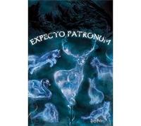 Poster Harry Potter Expecto Patronum 91,5 cm x 61 cm G