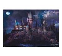 Grupo Erik - Poster Harry Potter Poudlard - Deco Maison, Decoration Murale, Affiche Décorative