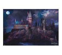 Poster - Harry Potter - Hogwarts - 61x91.5 cm - Multicolore - Décoration murale