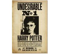 Poster Harry Potter Indésirable N1