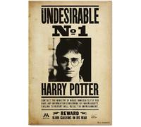 Poster Harry Potter Undesirable Number 1