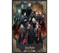 Poster Harry Potter Wizard Dynasty Characters 61x91.5cm