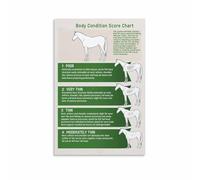 poster Horse Health Management Poster, Body Condition Score Reference Wall Chart for Equestrian, Ranch Home Decor(Unframed,08x12inch(20x30cm))