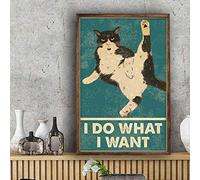 Poster humoristique en métal brillant avec inscription « I Do What I Want » pour salle de bain, maison, garage, décoration murale, 20,3 x 30,5 cm