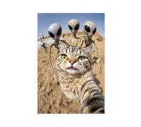 Poster humoristique sur toile représentant un chat et un autoportrait extraterrestre - Décoration de chambre à coucher, bureau, chambre - Cadeau - 20 x 30 cm