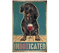 Poster indoxié chien teckel cadeaux pour homme femme cadeau maison famille salle de bain bar pub chambre fantaisie affiche drôle salon garage WC décoration murale affiche en métal 20,3 x 30,5 cm
