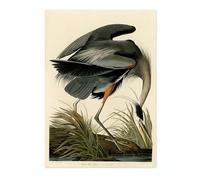 Poster John James Audubon Grand héron vintage Illustration d'oiseau Impression antique Ornithologie Art, archivage mat, A4 (impression uniquement) - 29,7 x 21 cm