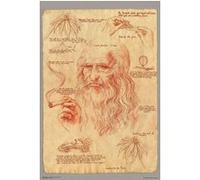 Poster Leonardo fumant marijua 91,5 cm x 61 cm G
