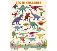 Poster les dinosaures min 5 - Charlotte Molas - Lito - broché - Document jeunesse