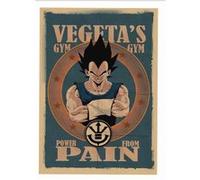 Poster lot of 3 Dragon Ball-42 x 30 cm(style#30)