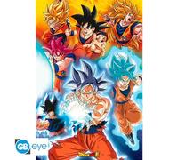 Poster Maxi Dragon Ball Super Transformations