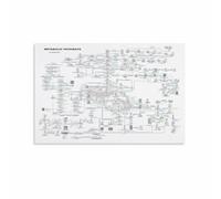 poster Metabolic Pathways Chart Poster, Biochemistry & Cellular Respiration, Science Classroom Decor, Student Study Guide, Lab Office Wall Art(Framed,08x12inch(20x30cm))