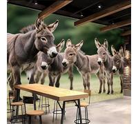 Poster mural chambre 500x280cm Âne Mignon papier peint adhesif mural cuisine Enfants Des Zones Rurales Impression 3D sur toile artistique sans couture, pour un mur d’accent dans un bureau ou salon