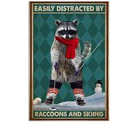 Poster mural en métal « Facilement distracté par les ratons laveurs et le ski » 20,3 x 30,5 cm