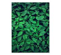 Poster Mural Feuilles Vert Émeraude Tableau Decoration Murale Affiche Murale Tableau Peinture sur Toile Tableau Decoration Murale Salon Tableaux, Posters et Arts Décoratifs Sans Cadre 60x90cm/1 Pcs