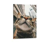 Poster mural moderne sur toile représentant un chat urbain regardant vers le haut, décoration esthétique, 50 x 75 cm, style cadre
