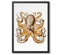 Poster Octopus Ernst Haeckel, décoration murale botanique vintage, décoration d'intérieur, A1 (cadre noir) - 84,1 x 59,4 cm