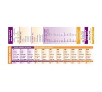 Poster Pals Lot de 64 marque-pages de conjugaison des verbes français, outil de référence éducatif en langue étrangère, enseignant en classe, récompense et cadeau pour jeunes étudiants