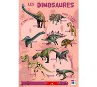 Poster pédagogique BOUCHUT Dinosaures 52 x 76 cm